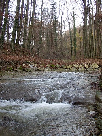 360px Sentier de la Morges 019