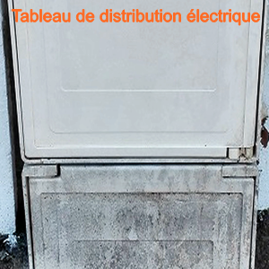 TableauDistributionFrance 300X300